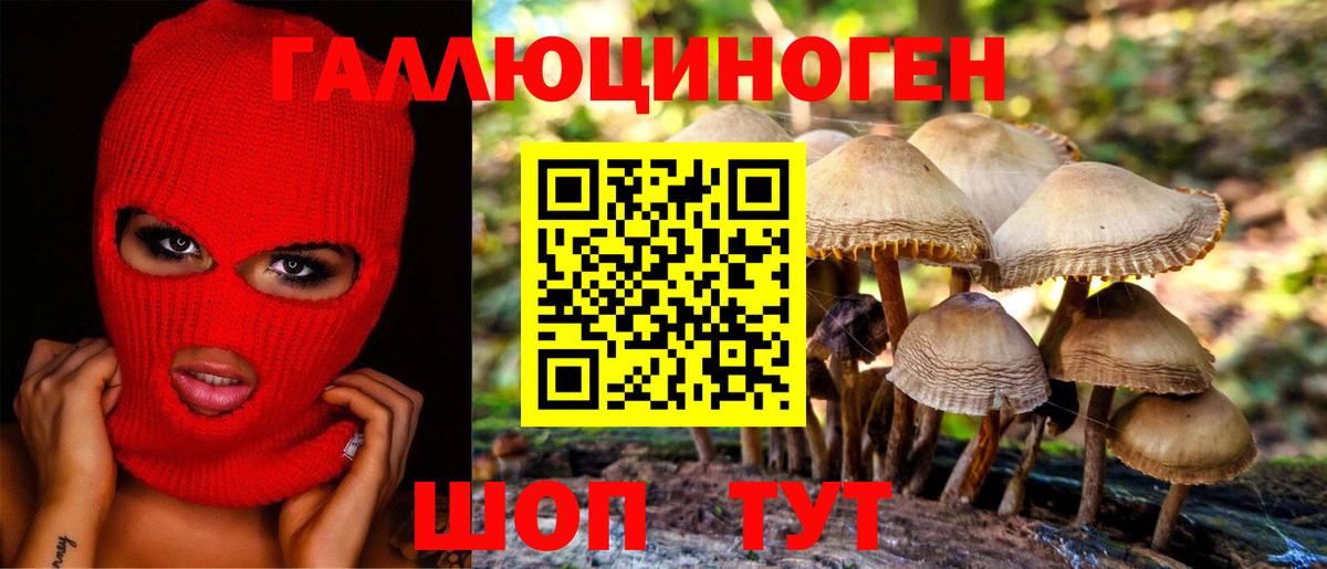 Хабаровск  Псилоцибиновые грибы Psilocybine cubensis  Вход с VPN 