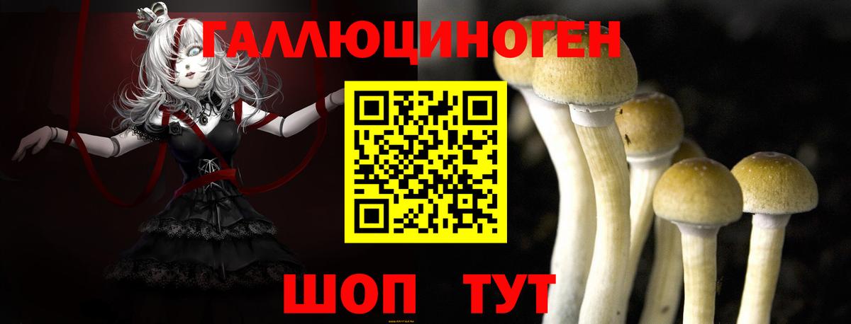 Галлюциногенные грибы Magic Shrooms Хабаровск